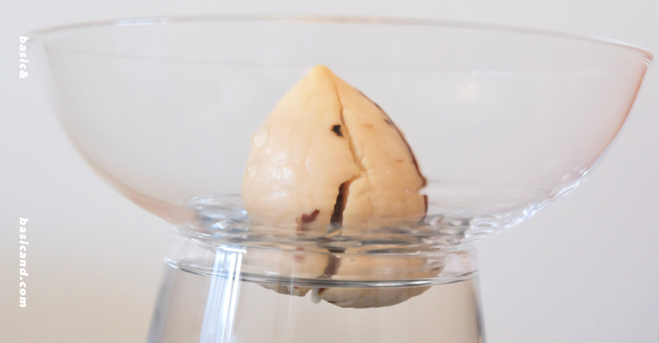 牛油果種子