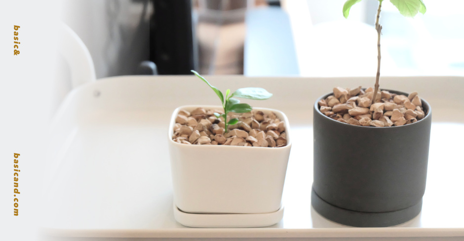 新手種植